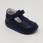 falcotto422b