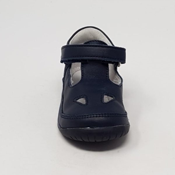 falcotto422b_2