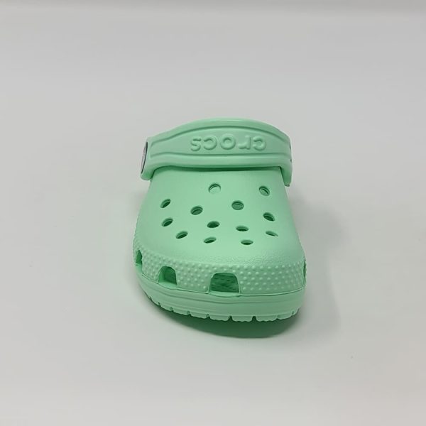 204536m_2